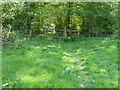 Stile and gate entry to North Gravelies Wood