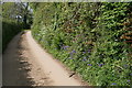 Public byway near Trenoweth