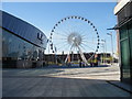 Echo Arena and Liverpool wheel