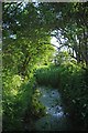 Stream Through Stringcock Fen