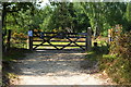 Gateway to the Ashdown Forest, Sussex