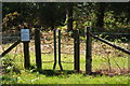 Stile Onto the Ashdown Forest, Sussex