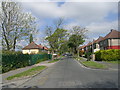 Radcliffe Avenue - viewed from Moorhouse Avenue