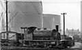 Ex-North British 0-4-0T at Kipps Locomotive Depot, Airdrie