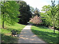 Path through Alexandra Park