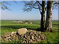 View from the Hillfort, Ranelly