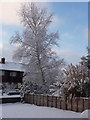 Snowy side road - Clevedon