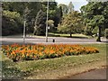 Flowerbed - Preston Park