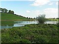 Ballysaggart Lough, Dungannon