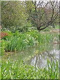 SU0625 : Reflections in the pond, Bishopstone by Maigheach-gheal