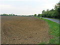 Farmland off Elvington Lane