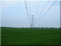 Farmland and power lines off Elvington Lane