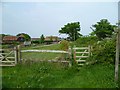 Enclosed footpath at Rumbolds Farm near Plaistow