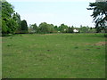 Farmland, Towthorpe