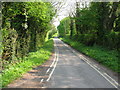 Road running along western side of Neigh Bridge Lake