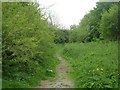 Footpath to Stanningley Bypass - from near Asda