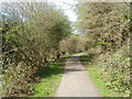 Path along western edge of Cwmfelinfach