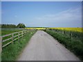 Copgrove to Roecliffe bridleway