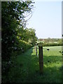 TM3161 : Footpath to North Green by Geographer