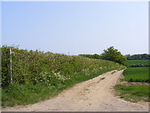 TM3462 : Footpath to The Grove & Chapel Lane by Geographer