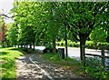 Footpath and cycle lane, Droitwich Road (A38), Perdiswell, Worcester