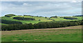 NT9602 : Farmland near Holystone by Stephen Richards