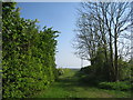 Farm track off the lane to Searby