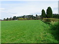 Footpath, Besthorpe