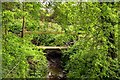 Footbridge over the stream in Newington