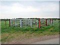 Livestock pens