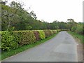 Country road south of Cleughhead