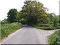 Bruisyard Road looking towards Bruisyard