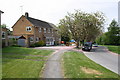 #30 Hampden Road has a pink lawn as the cherry tree sheds its petals.