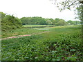 Looking from the B3035 towards the River Hamble