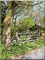 Gate and oak tree near Didworthy