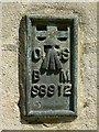 Ordnance Survey flush bracket, Town Hall, Devizes