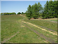 Path on Walberswick Common