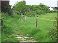 Path at Alstone