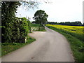 Henshaw Hall Farm entrance drive