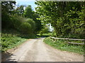 The road to Warren House Farm