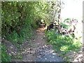 Leafy footpath near Morland