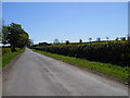 Straight road on Sleagill Moor