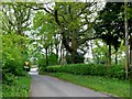 SP1771 : Country Lane near Kingswood by Nigel Mykura