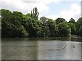 The lake in Kelsey Park (4)