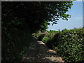 Access road towards Old Farm