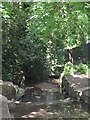 The Beck south of Stone Park  Avenue, BR3 (2)