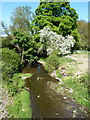 The Sheinton Brook just north of the bridge