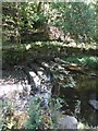 Weir in Colden Water at Brookside