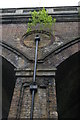 Railway bridge, Penge High Street: vegetation growing in the drainpipe