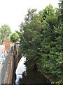 The Quaggy River by Granville Grove, SE13 (5)